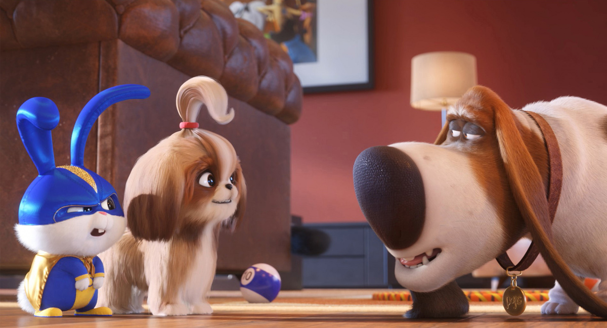 Кадры из Тайная жизнь домашних животных 2 (2019)