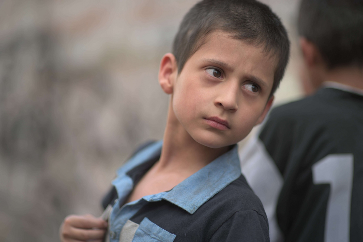 Кадры из Тигры не боятся (2017)