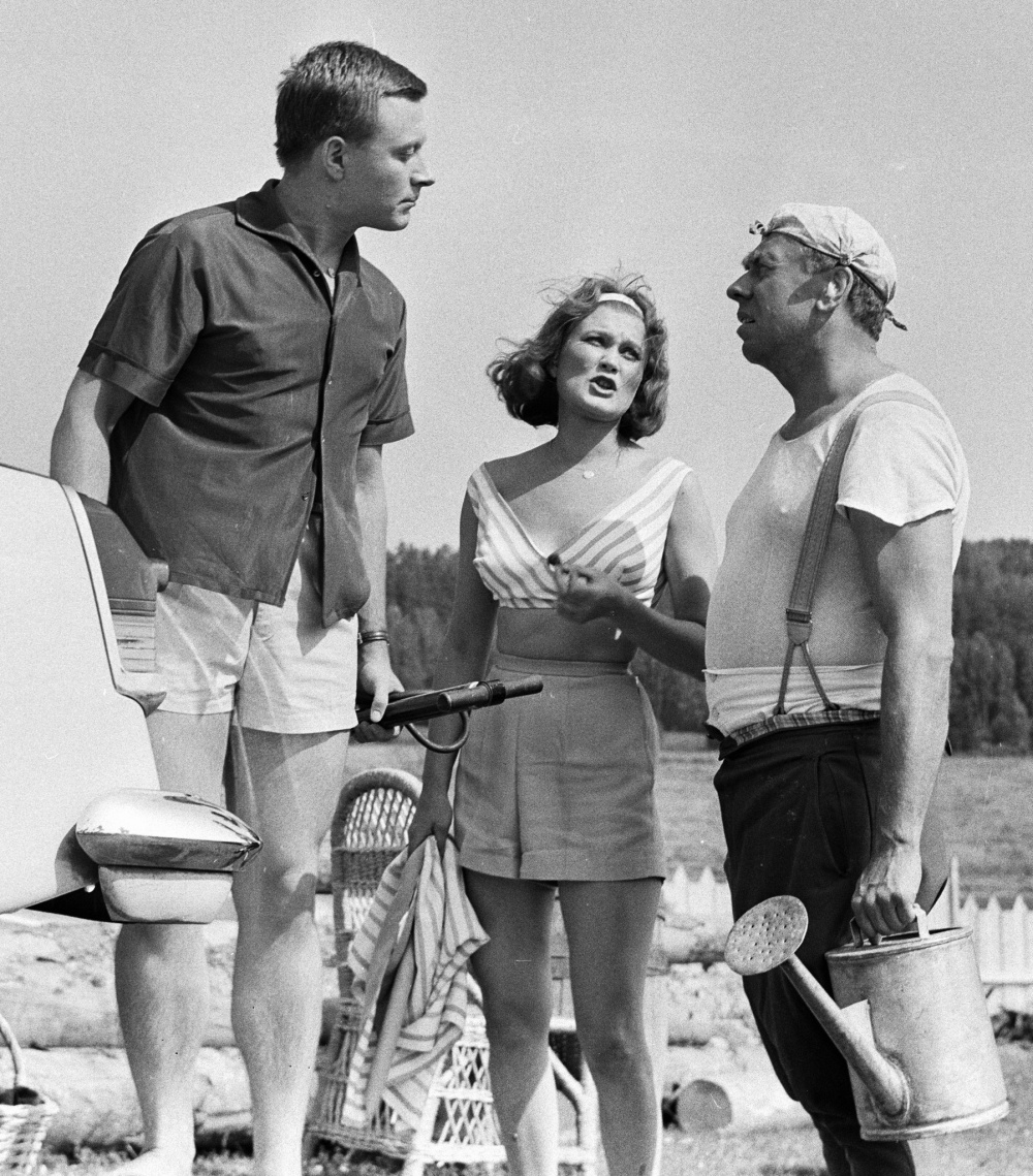 Берегись автомобиля (1966)