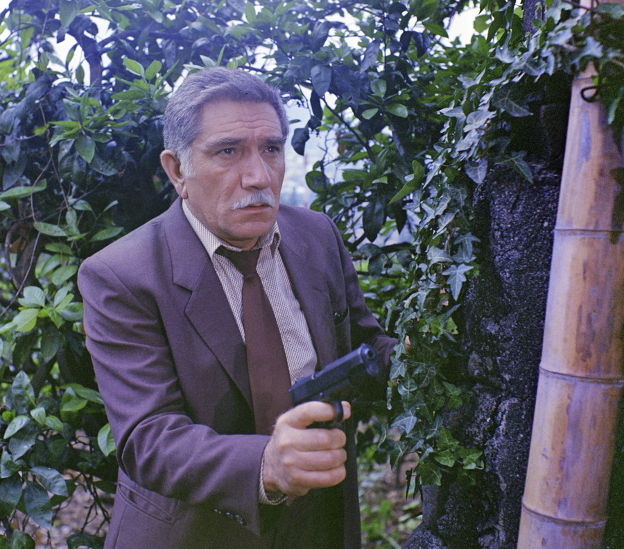 Кадры из Тайны мадам Вонг (1986)