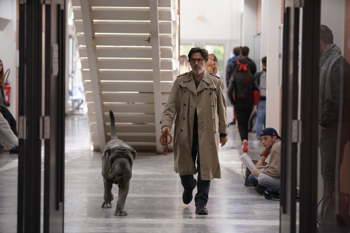 Кадры из Моя собака Идиот (2019)