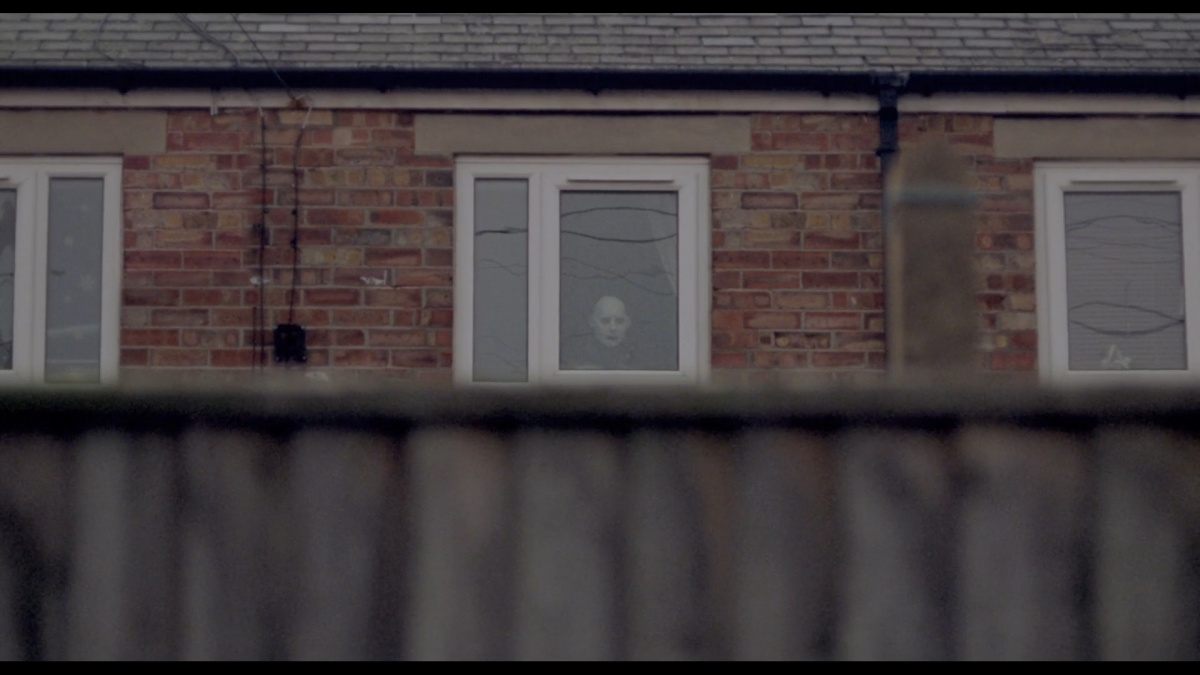 Опоссум (2018)