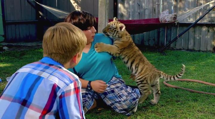 Кадры из Тигриный хвост (2014)