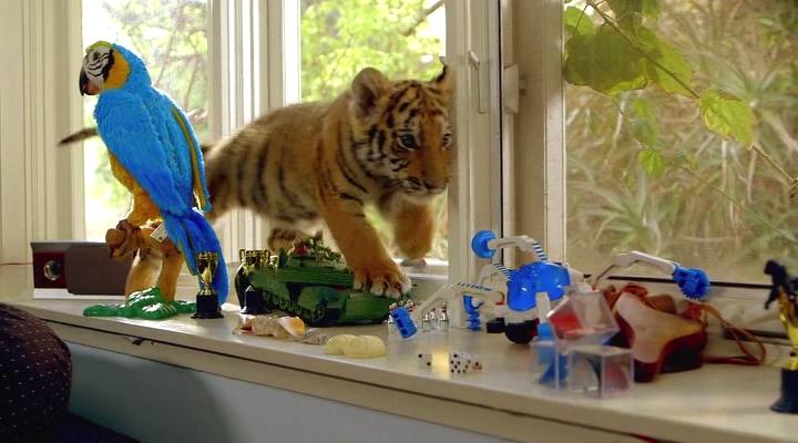 Кадры из Тигриный хвост (2014)