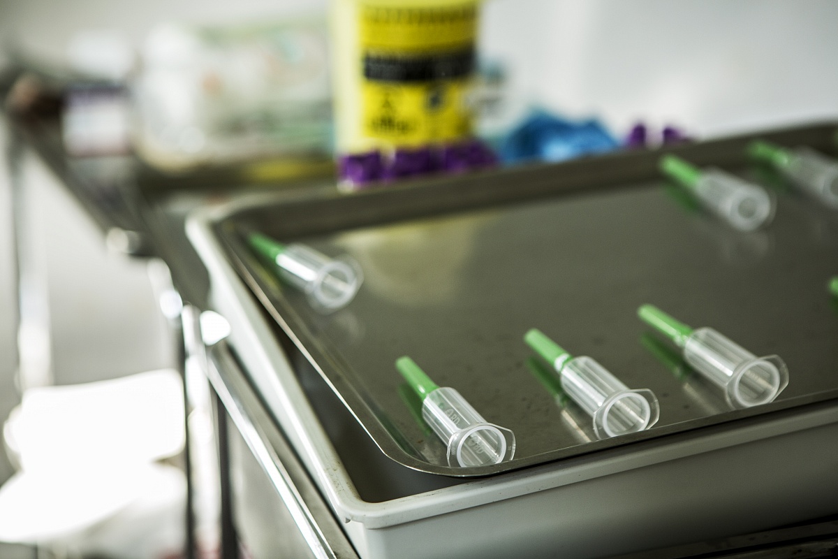 Кадры из В изоляции (2020)