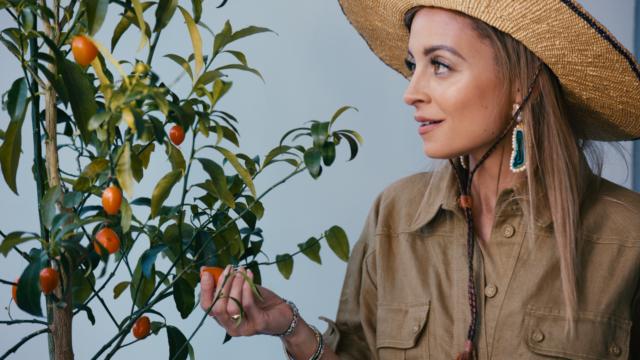 Кадры из Никки Фрэш (2020)