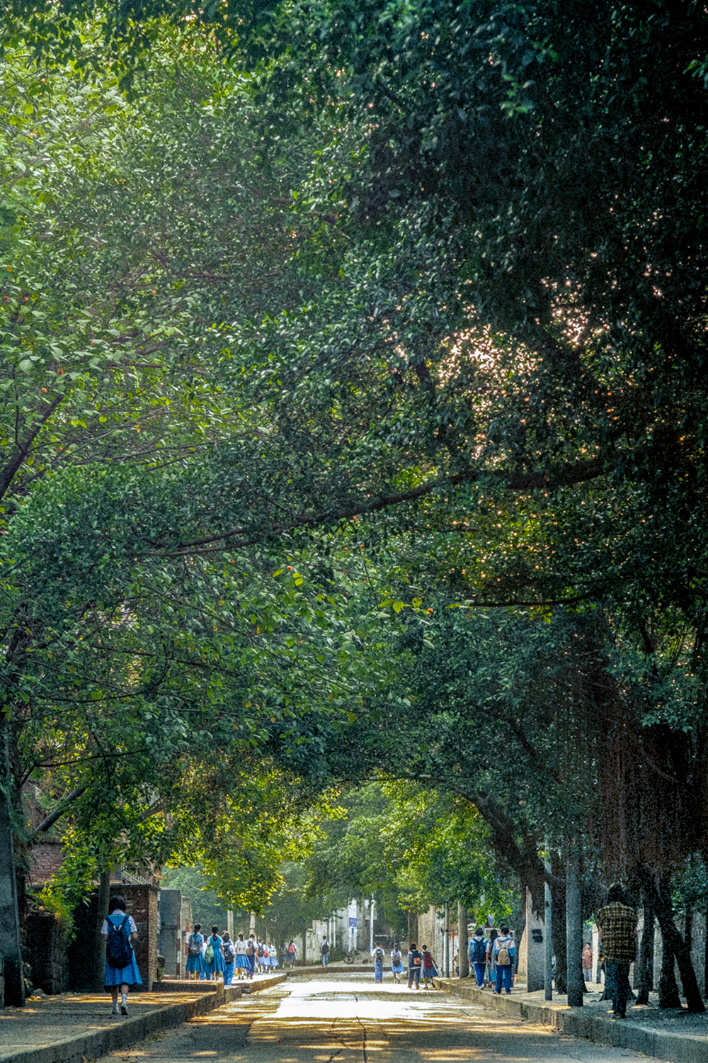 Лучшие дни (2019)