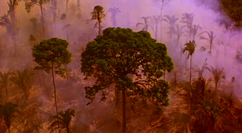 Душа мира (1993)