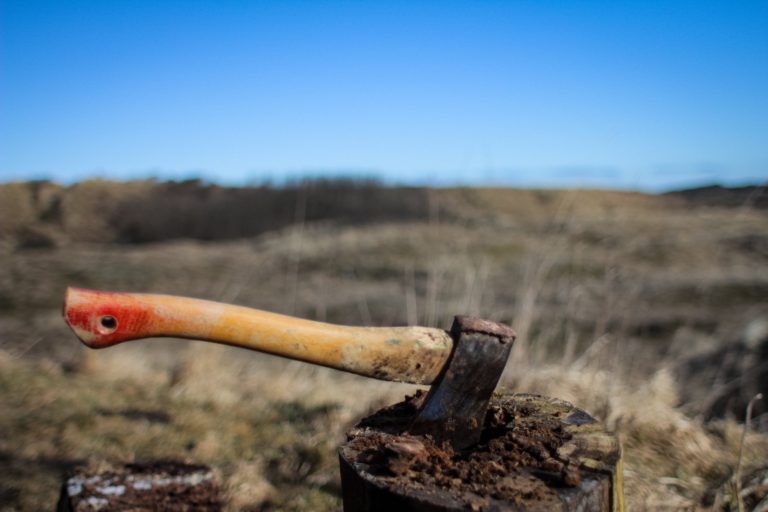 Никто не будет спать (2019) Никто не будет спать (2019)