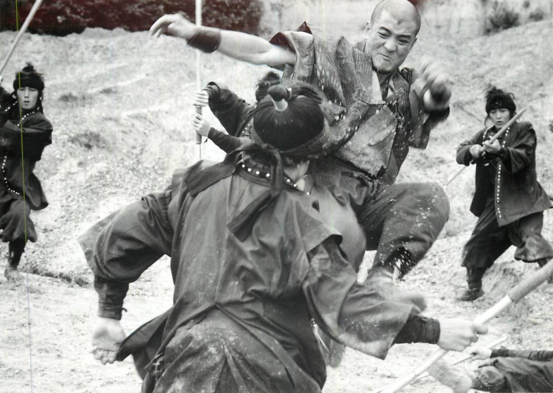 Тень сёгуна (1989)