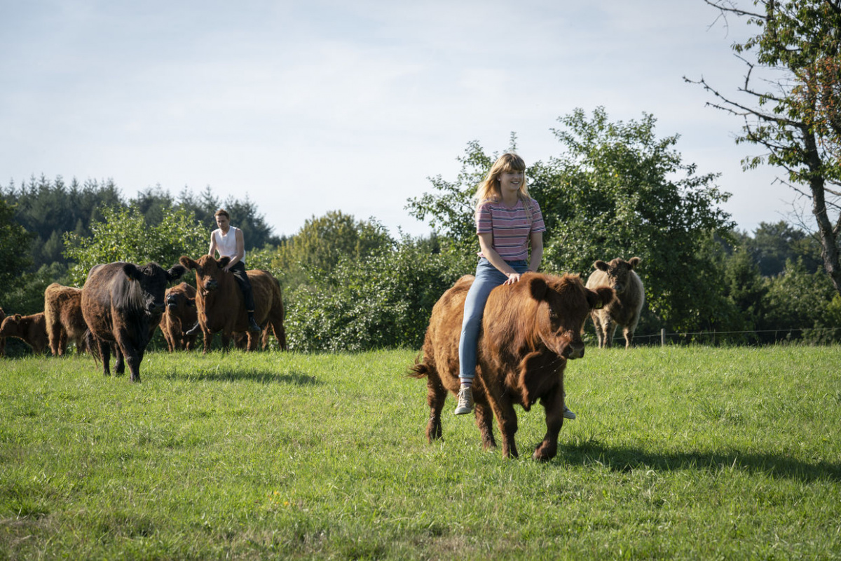 Кадры из Небеса подождут (2020)