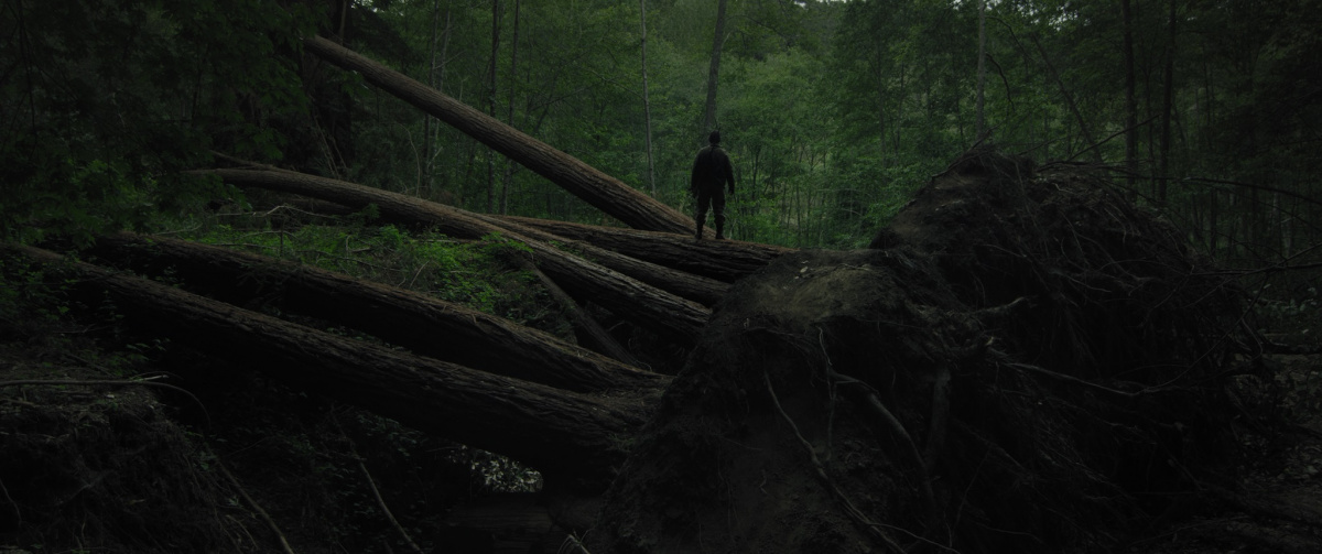 Лес призраков: Сатор (2019)