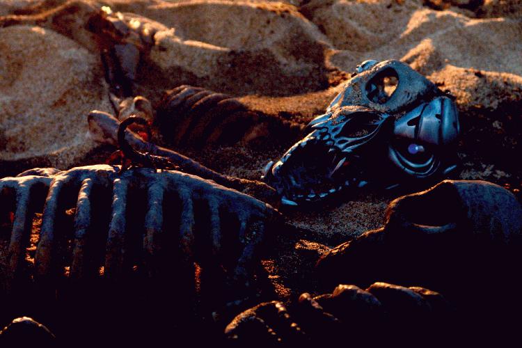 Ротвейлер (2005)