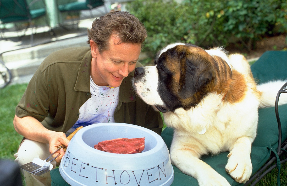 Кадры из Бетховен 4 (2001)