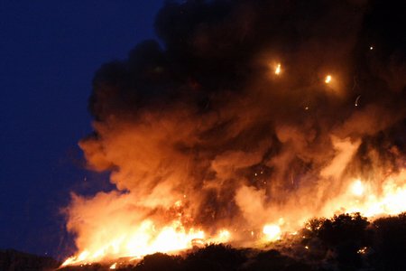 Кадры из Бофор (2007)