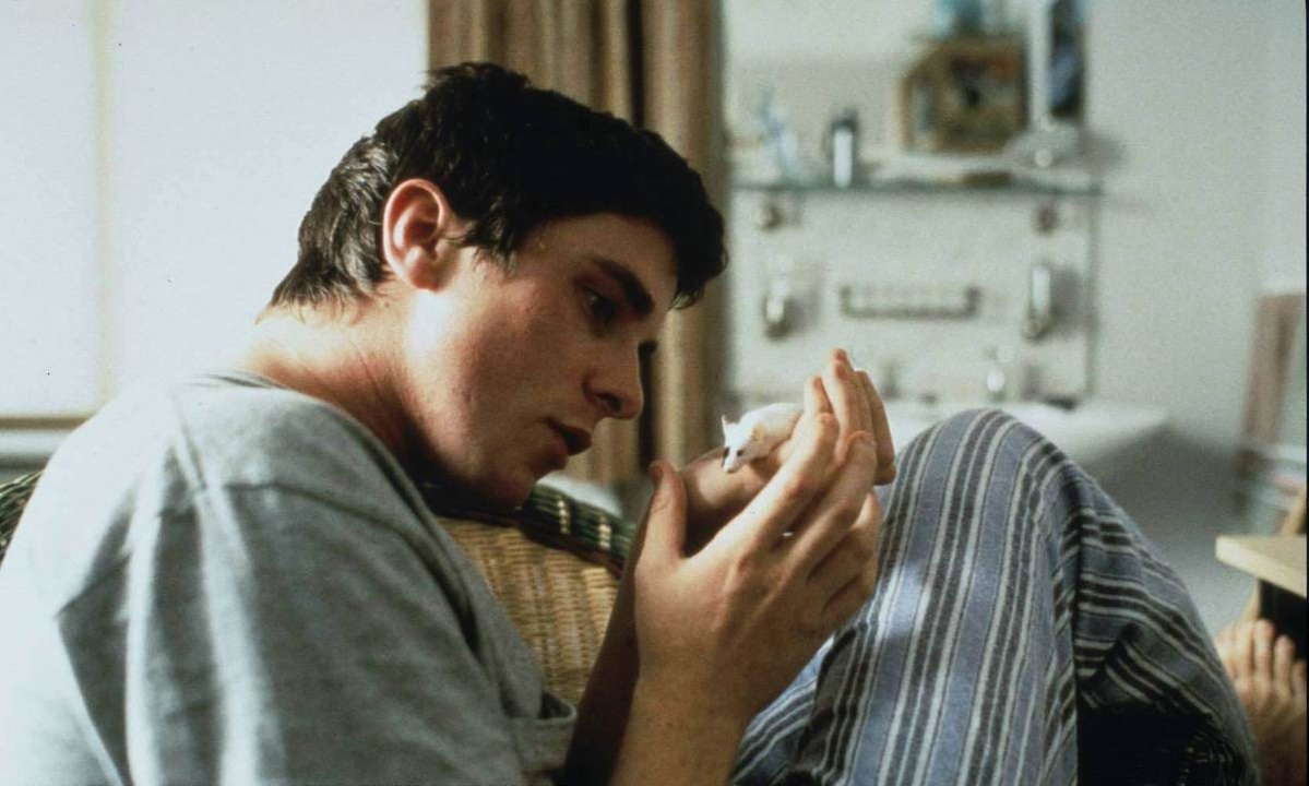 Кадры из Все маленькие животные (1998)