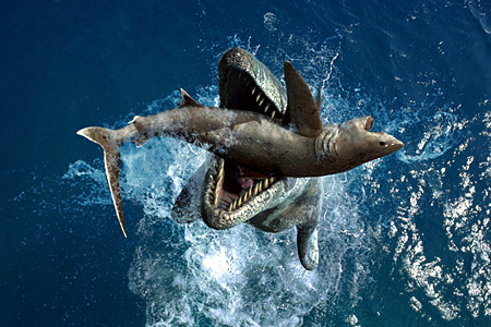 Кадры из Чудища морей 3D: Доисторическое приключение (2007)