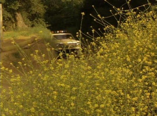 Кадры из Класс 1999: Новый учитель (1994)