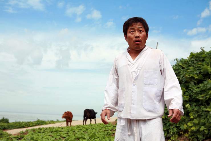 Мападо 2 (2007)