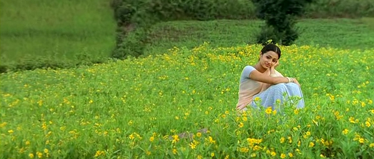 Непохищенная невеста 2 (2005)