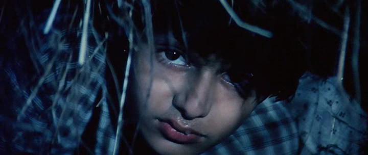 Кадры из Зов свободы (1983)