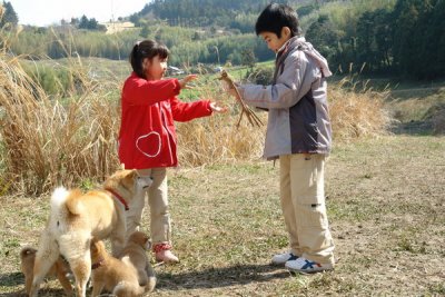 Кадры из История Мари и трёх щенков (2007)