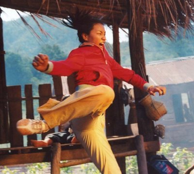 Рожденный сражаться (2004) Рожденный сражаться (2004)