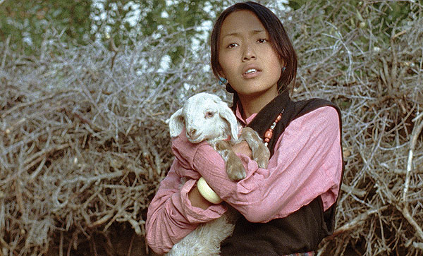 Кадры из Учение Миларепы (2006)