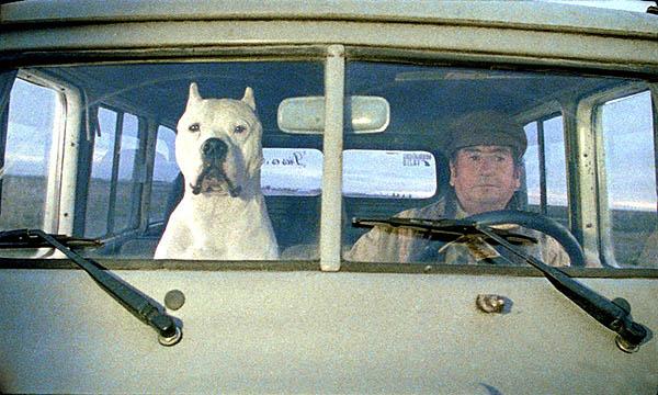 Кадры из Аргентинский дог (2004)