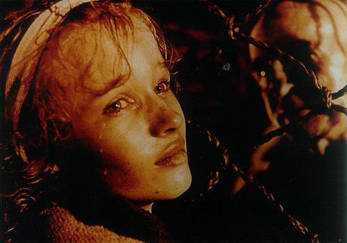 Кадры из Элемент преступления (1984)