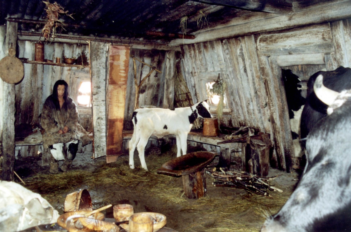 Кадры из Река (2003)