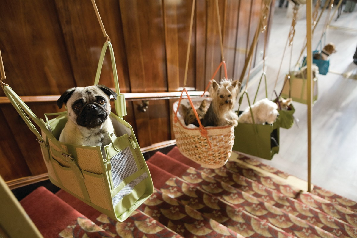 Кадры из Отель для собак (2009)