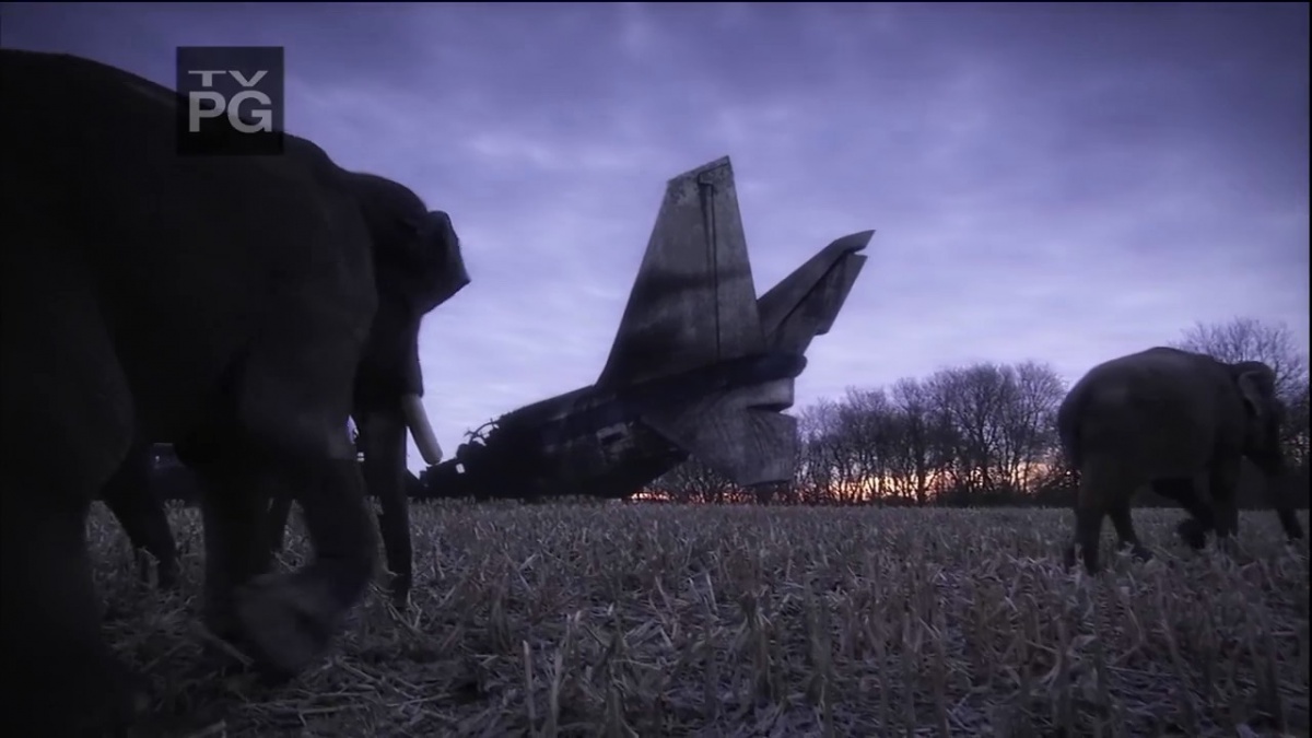 Кадры из Земля: Жизнь без людей (2008)