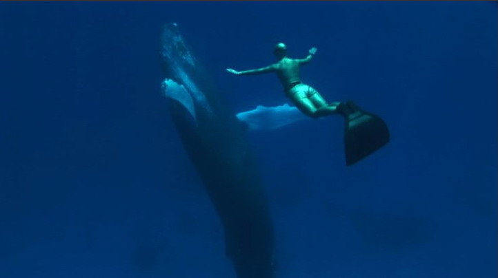 Кадры из Бухта (2009)