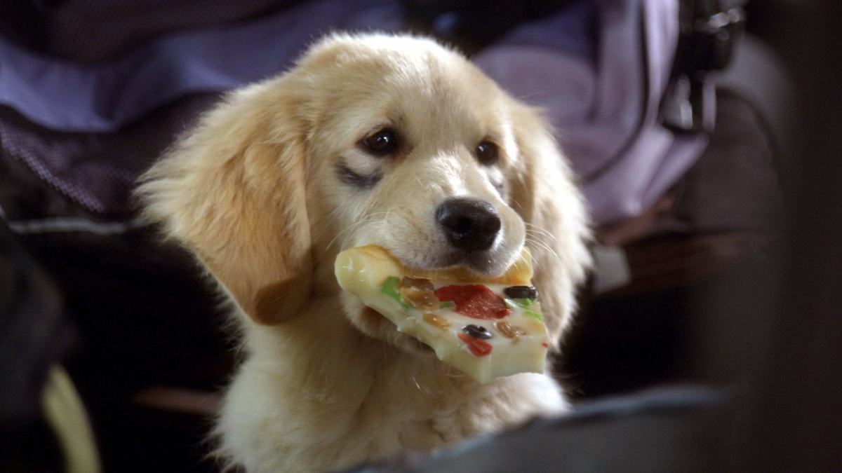 Кадры из Космические друзья (2009)