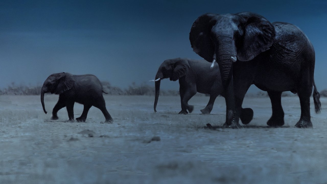 Кадры из Ночь на Земле (2020)