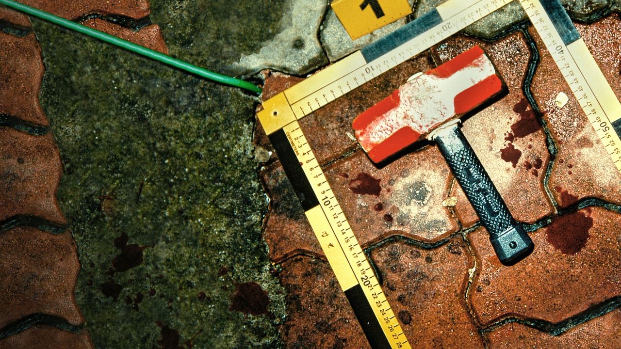 Кадры из Убийца в плаще: Охота на корейского хищника (2021)