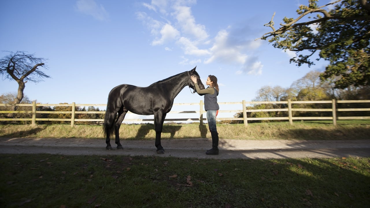 Свобода действий / Свободный Рейн (2017)