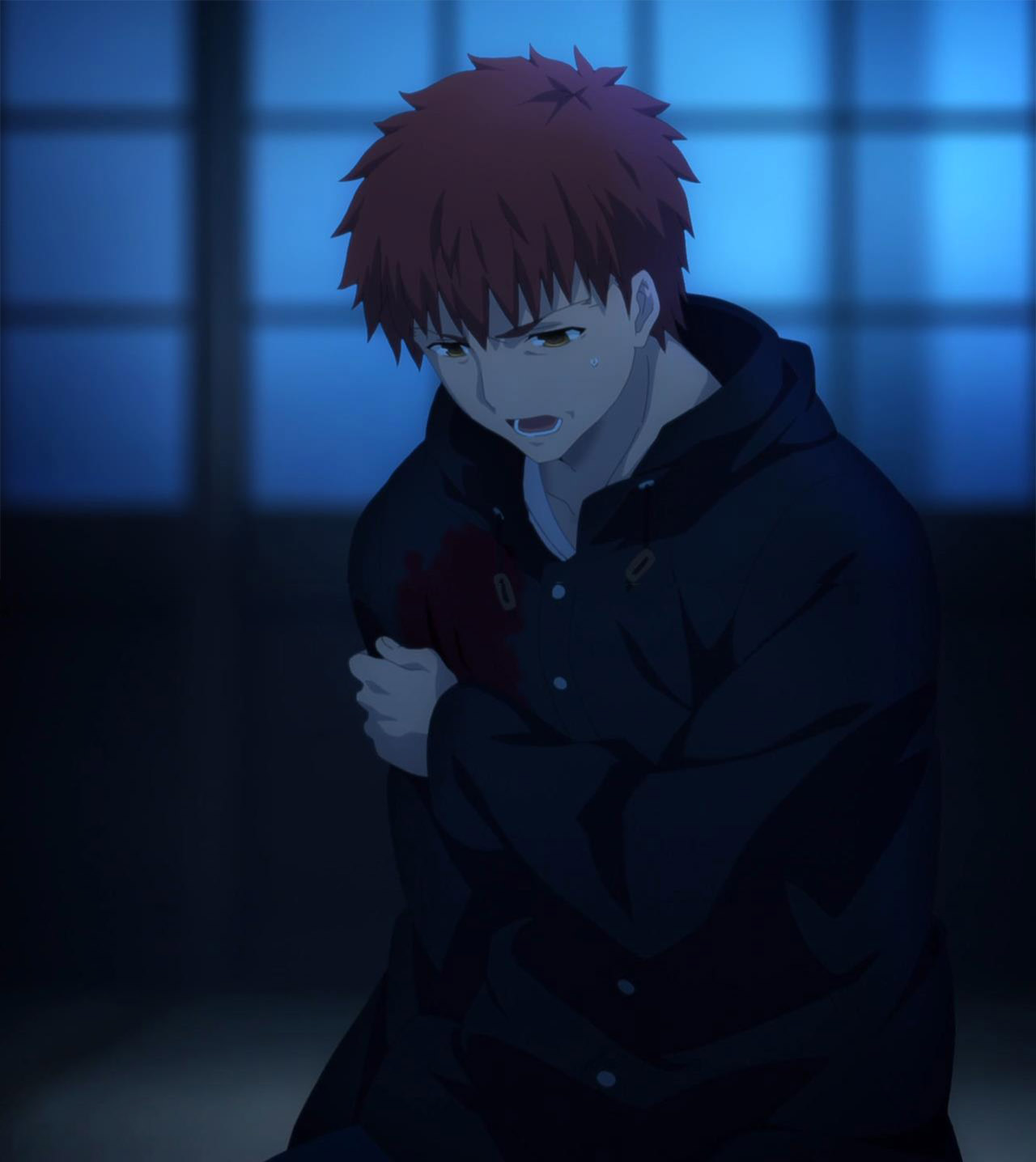 Судьба: Ночь схватки. Клинков бесконечный край (2014)