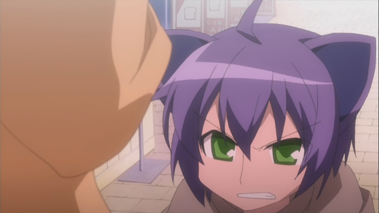 Дневник сумасшедшей семейки (2008)