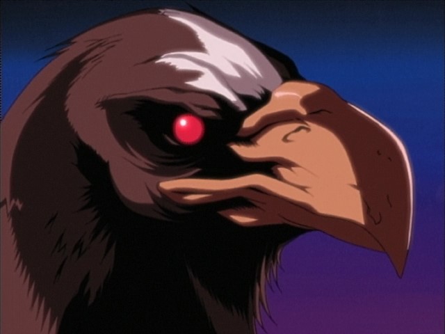 Кадры из Накоруру (2002)