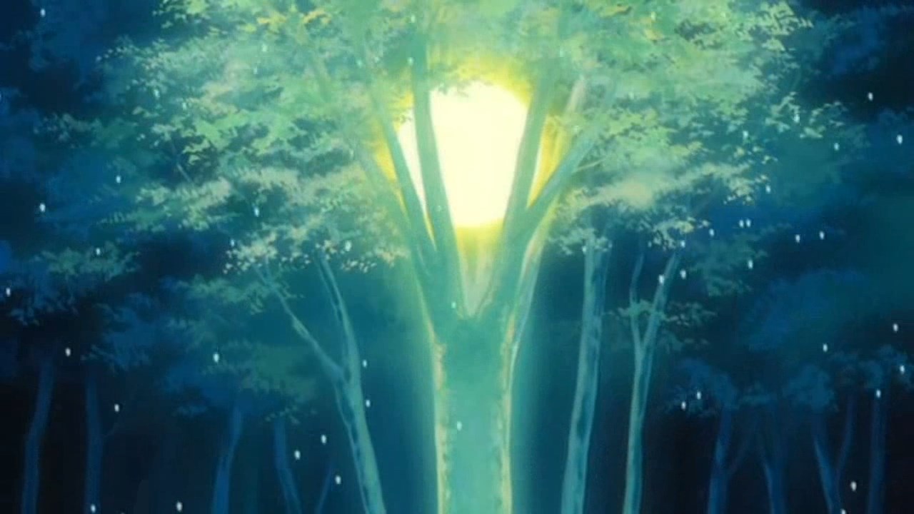 Кадры из Этот ужасный и прекрасный мир (2004)