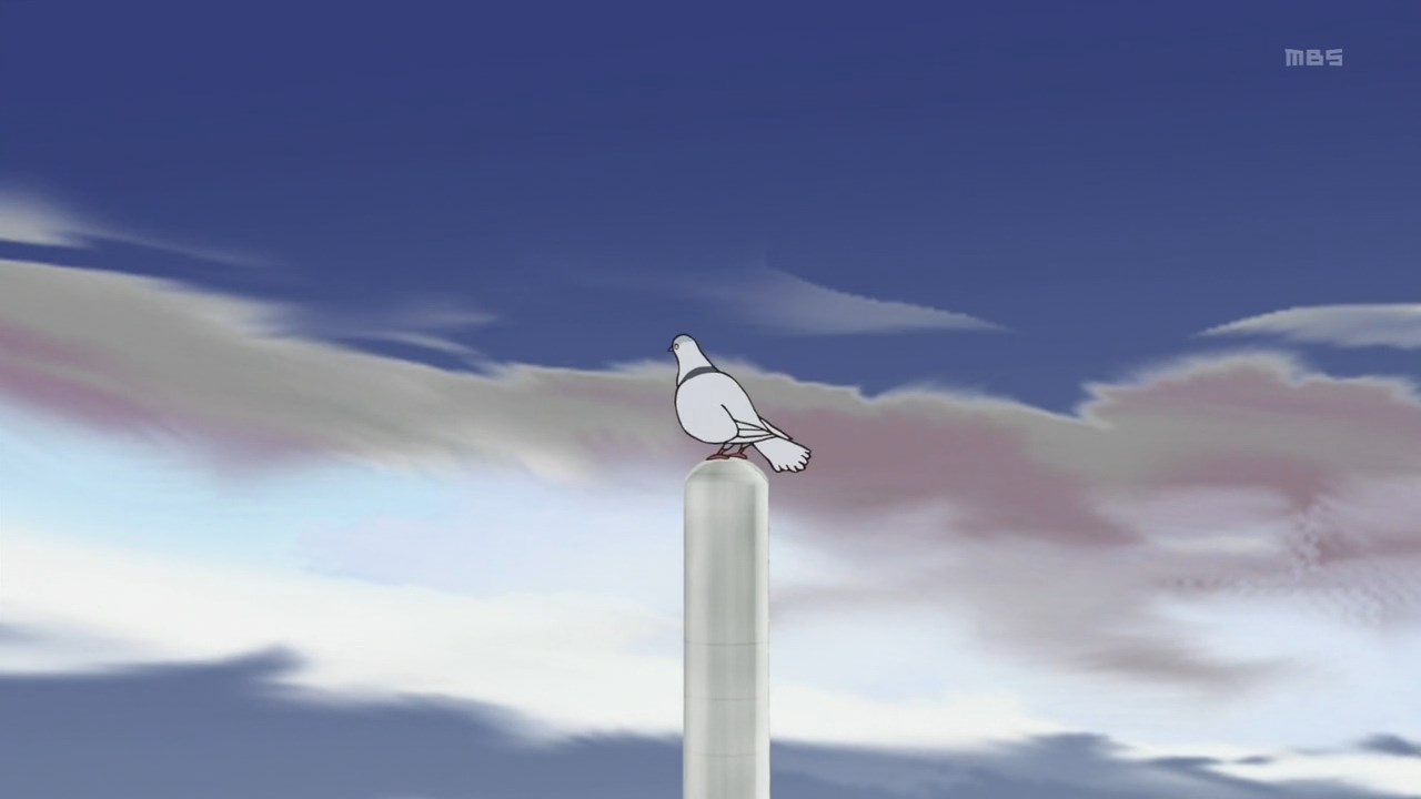 Кадры из Куми и тюльпан (2015)