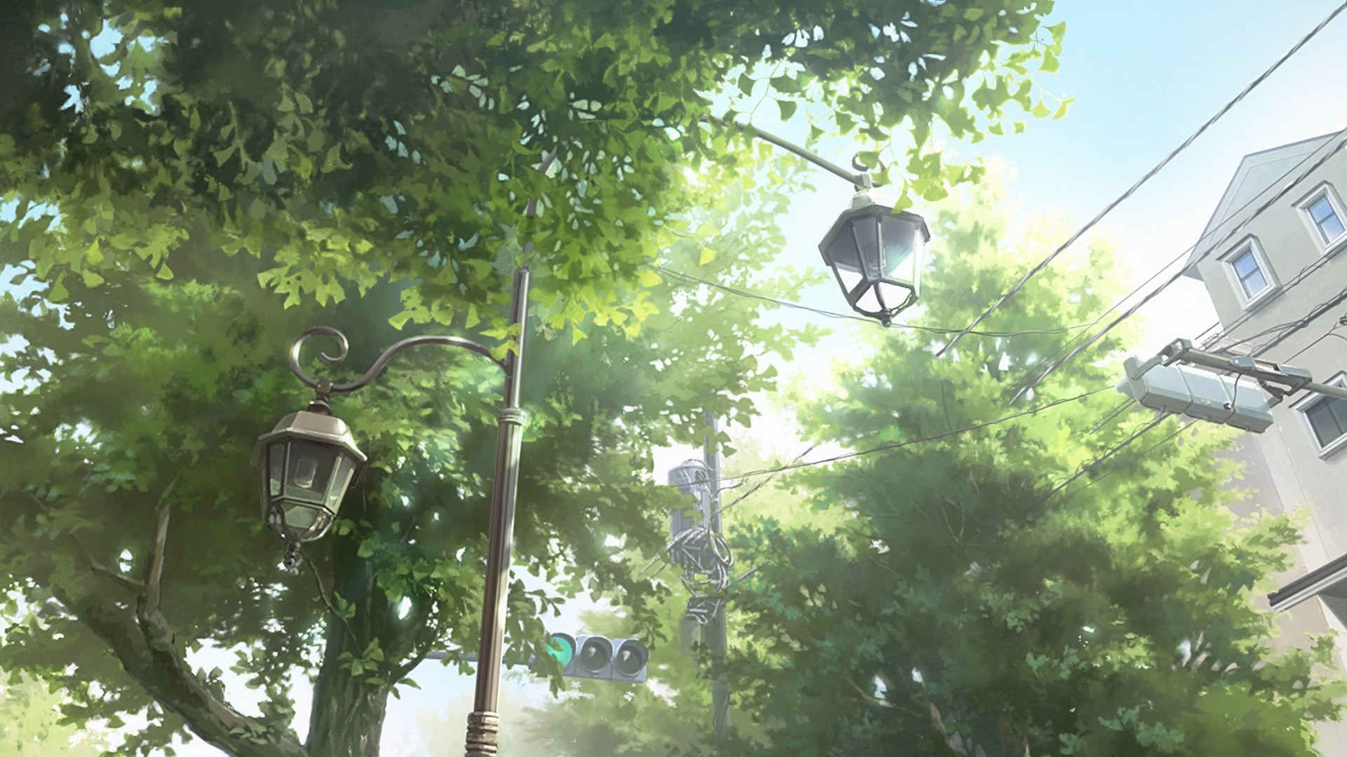 Кадры из Благоухающий цветок расцветает с достоинством (2025)