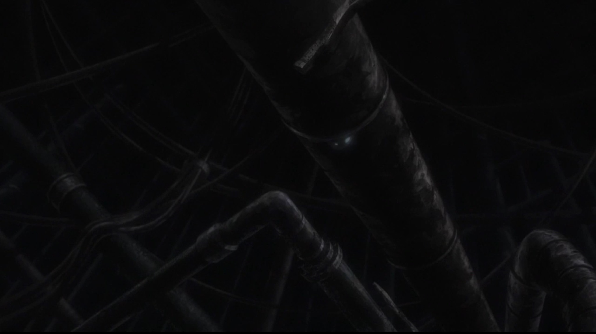 Кадры из Девушки в последнем путешествии (2017)