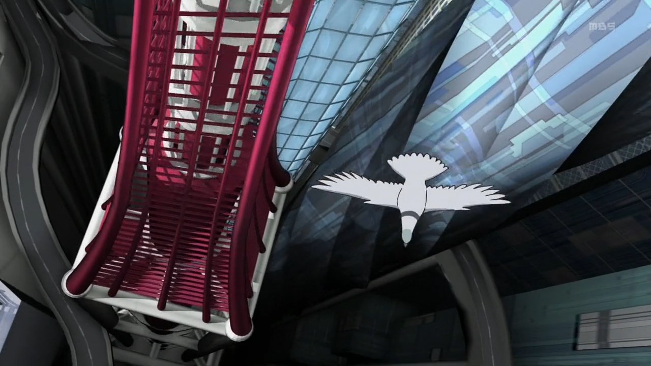 Кадры из Куми и тюльпан (2015)