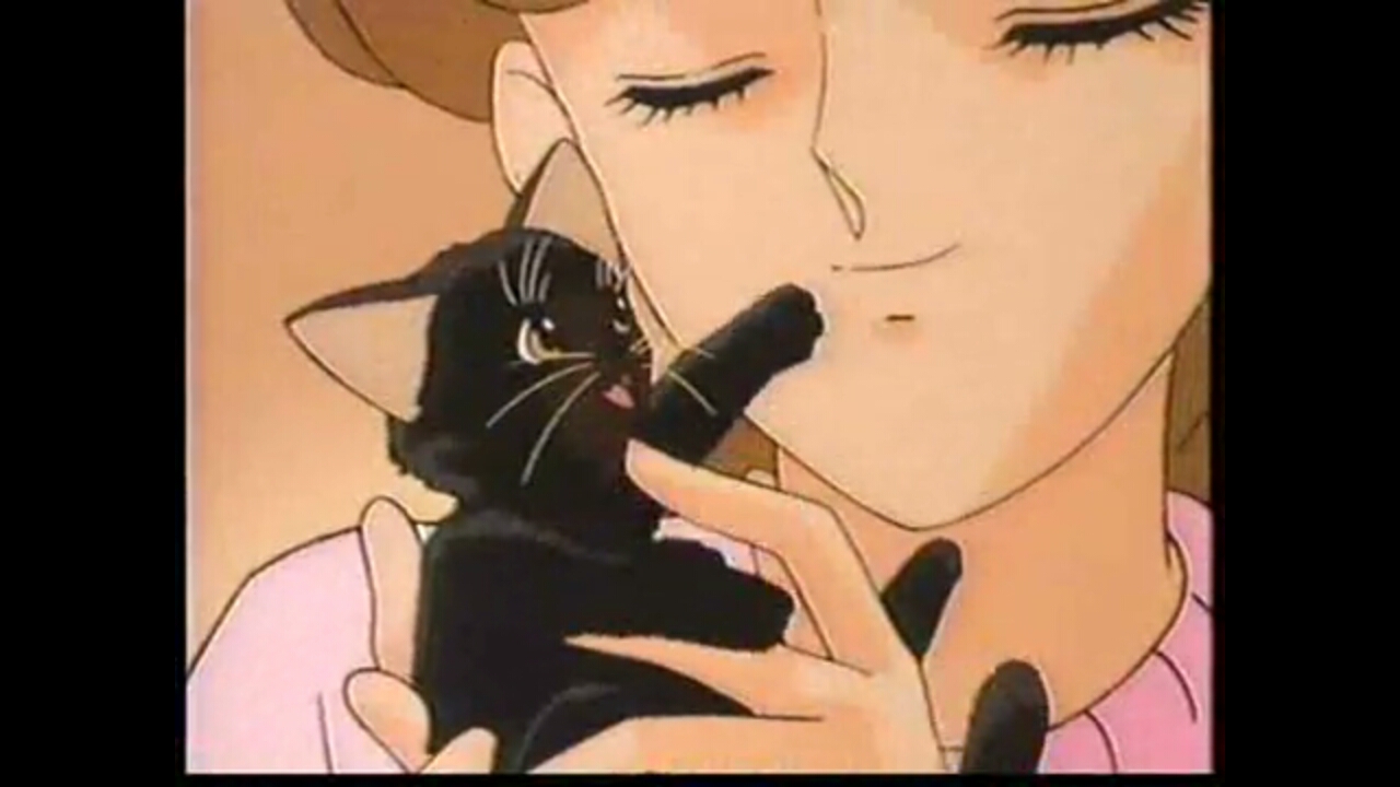 Кошачья фантазия (1991)