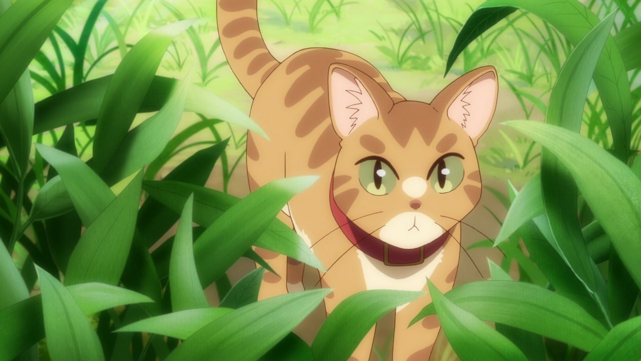 Манящие горы: Воспоминания (2017)