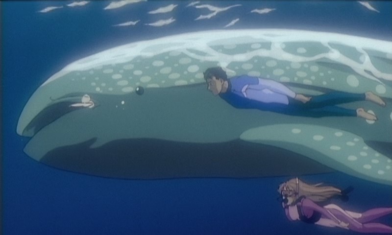 Кадры из Голубая рыба-бабочка (1994)