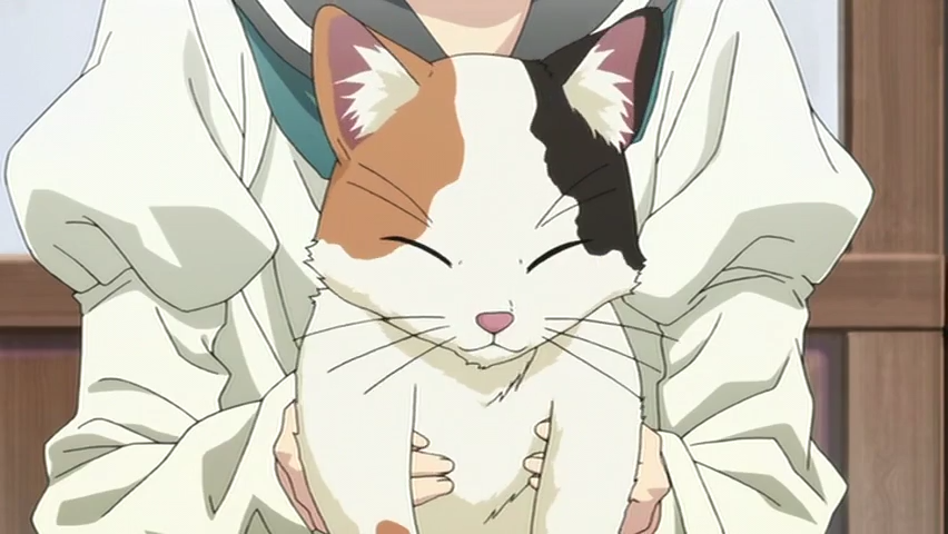 Кадры из Каштан мечты (2012)